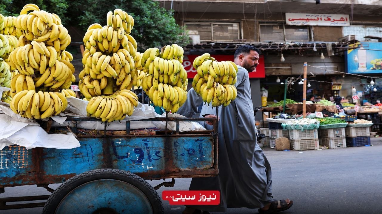 هشدار دربارهی موج جدید گرانی مواد غذایی در جهان؛ تورم تا سال 2027 ادامه دارد؟ 3 فروشنده موز در بازار خیابانی مصر با گاری میوه؛ تصویری از بازار مواد غذایی در بحبوحه نگرانیها درباره تورم جهانی و افزایش قیمت خوراکیها.